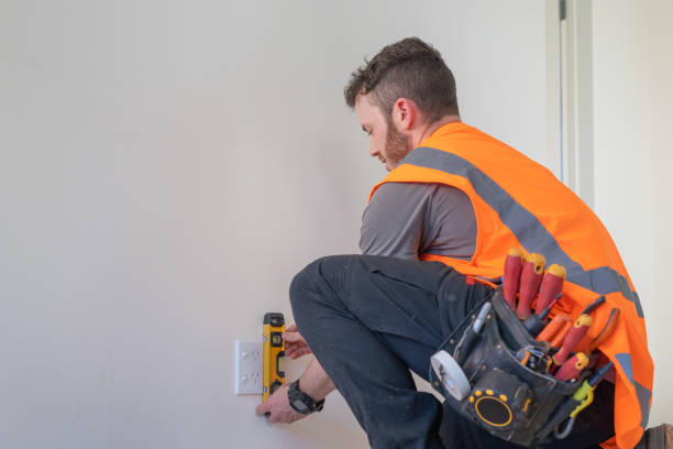 Best Electric Panel Repair  in Cimarron, KS